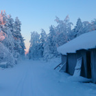 En skog och lada täckt i snö.