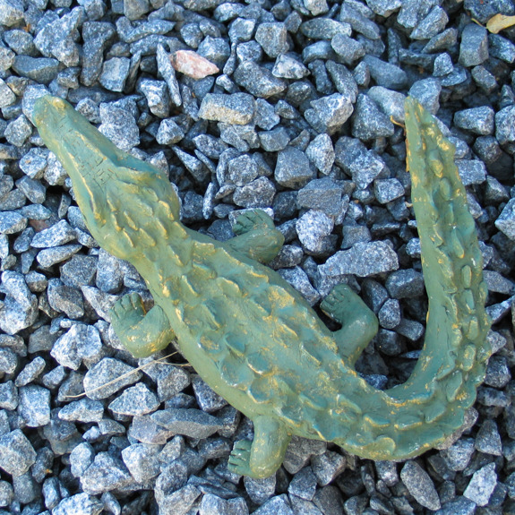 Närbild på krokodilen.