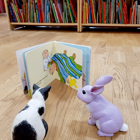 Katten och kaninen läser en bok tillsammans.