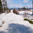 Ett snötäckt landskap med träd och buskar som sticker fram.