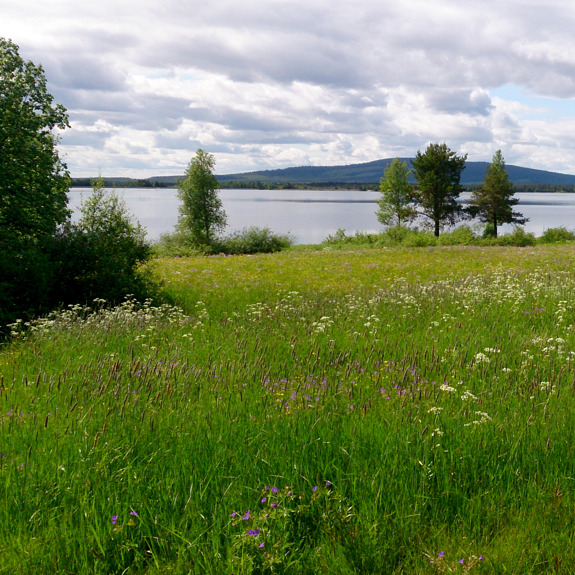 En grön äng med en sjö och berg i bakgrunden.