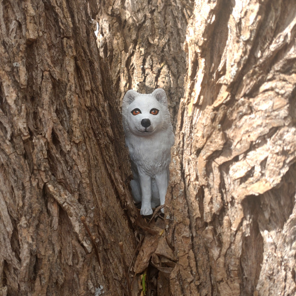 Fjällräven i ett träd.