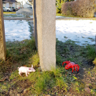 Grisen och Spindeln vid stenpelare.