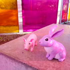 Grisen och Kaninen träffas.