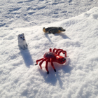 Fjällräven, Krokodilen och Spindeln ute i snön.