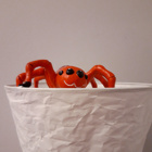 Spindeln står på en lampa.