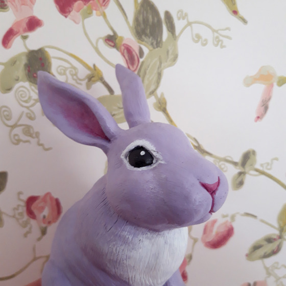 Närbild på kaninen.