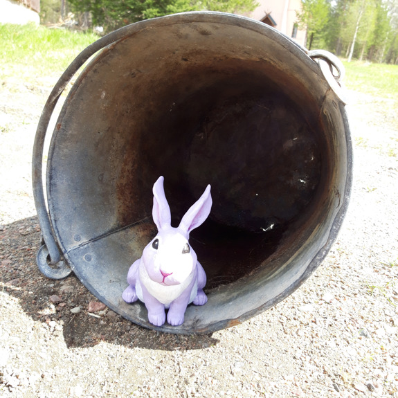 Kaninen gömmer sig i en hink.