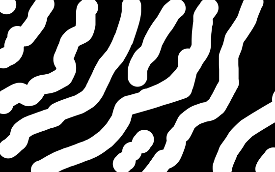 zebra puzzle