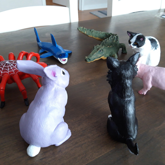 Spindeln, hajen, krokodilen, katten, grisen, hunden och kaninen står i en cirkel.