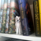 Fjällräven i en bokhylla.