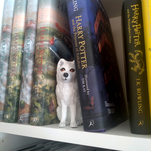 Fjällräven i en bokhylla.