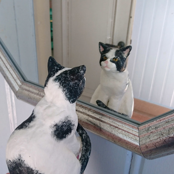 Katten tittar på sig själv i en spegel.