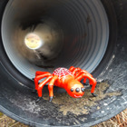 Spindeln står i ett rör.