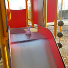 Kaninen på en rutschkana.