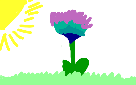 Blomman i solens sken