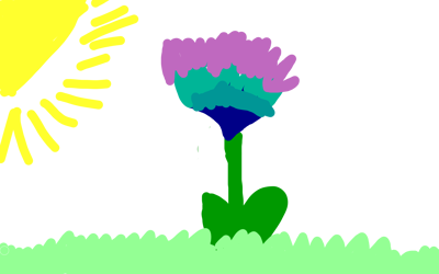 Blomman i solens sken