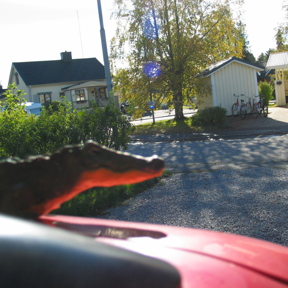 Krokodilen tittar ut över ett kvarter.